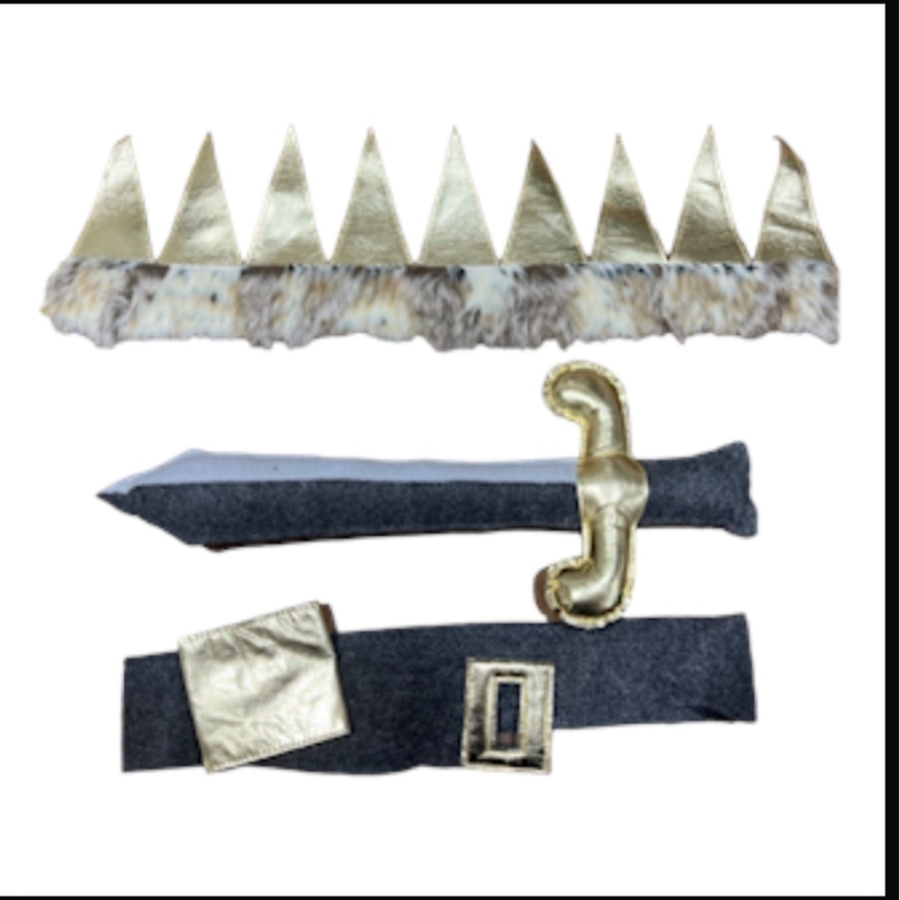 Prince Costume Kid Metallic Fur Crown Felt Sword Solider Preppy Book Knight